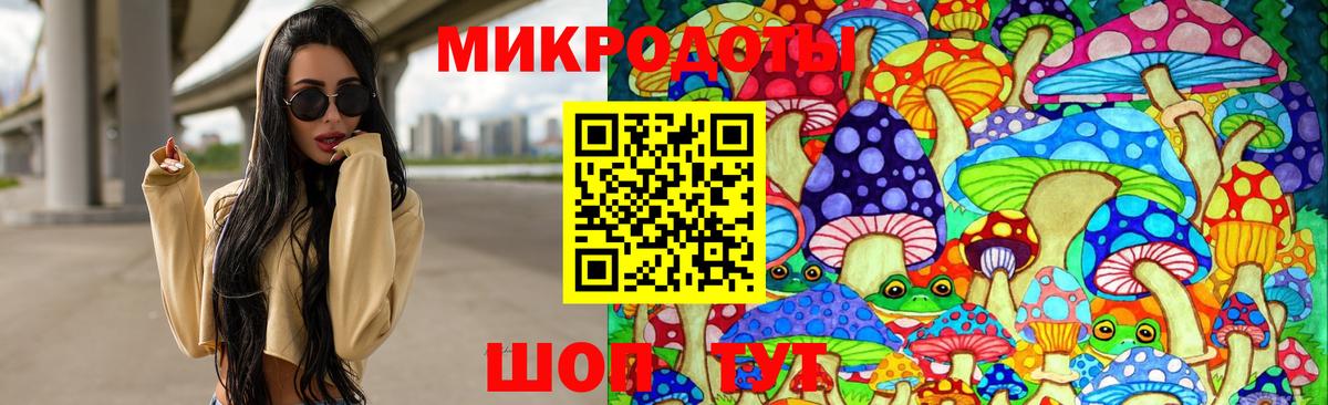 Псилоцибиновые грибы Psilocybe  Вход с VPN  Псилоцибиновые грибы мухоморы  Каменка 