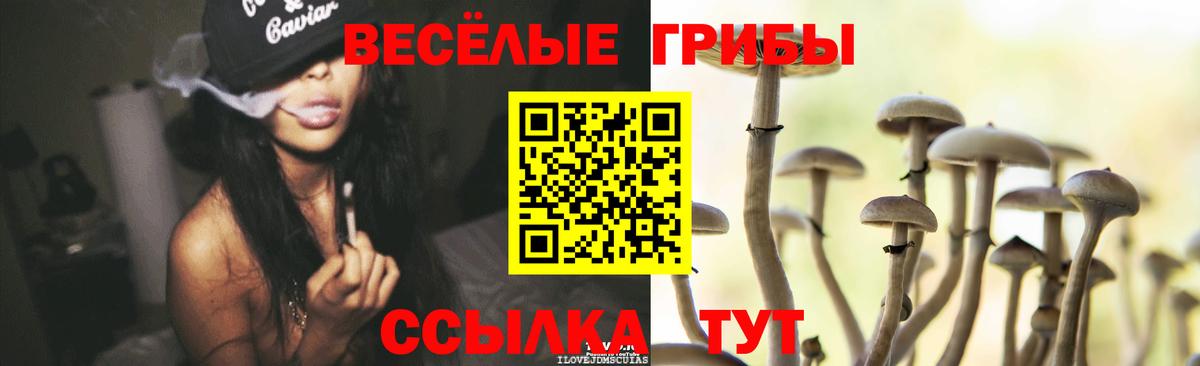 Галлюциногенные грибы Cubensis Каменка