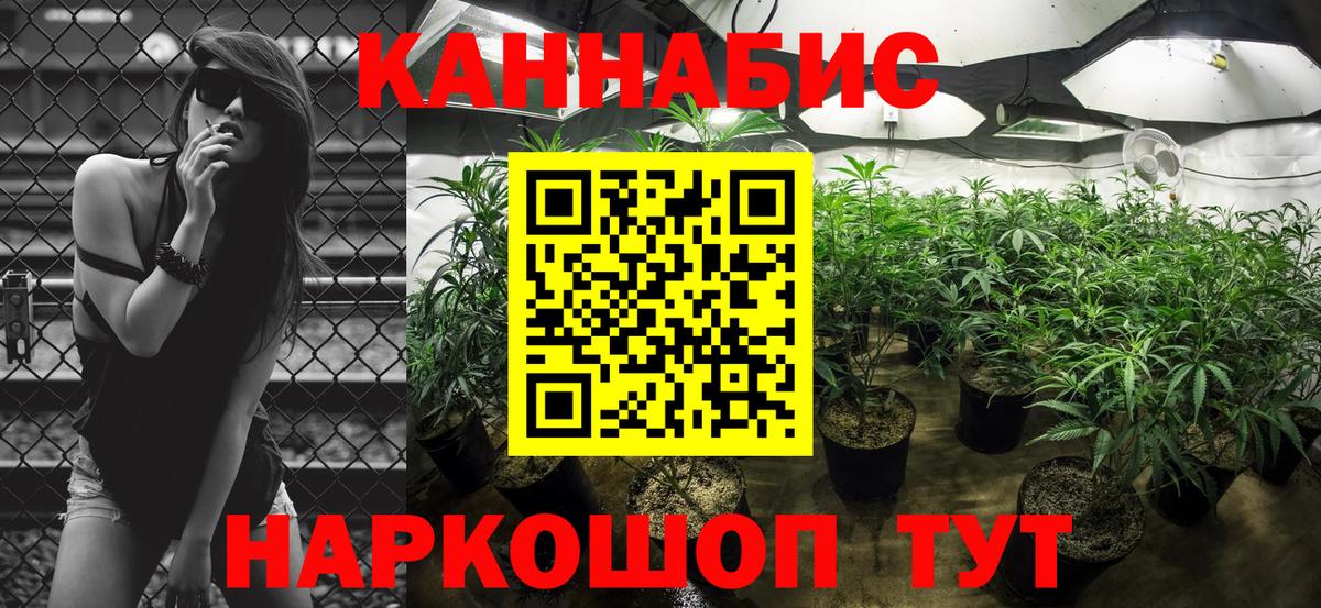 Каменка  Каннабис сатива  Вход с VPN  Марихуана SATIVA & INDICA  МАРИХУАНА конопля 